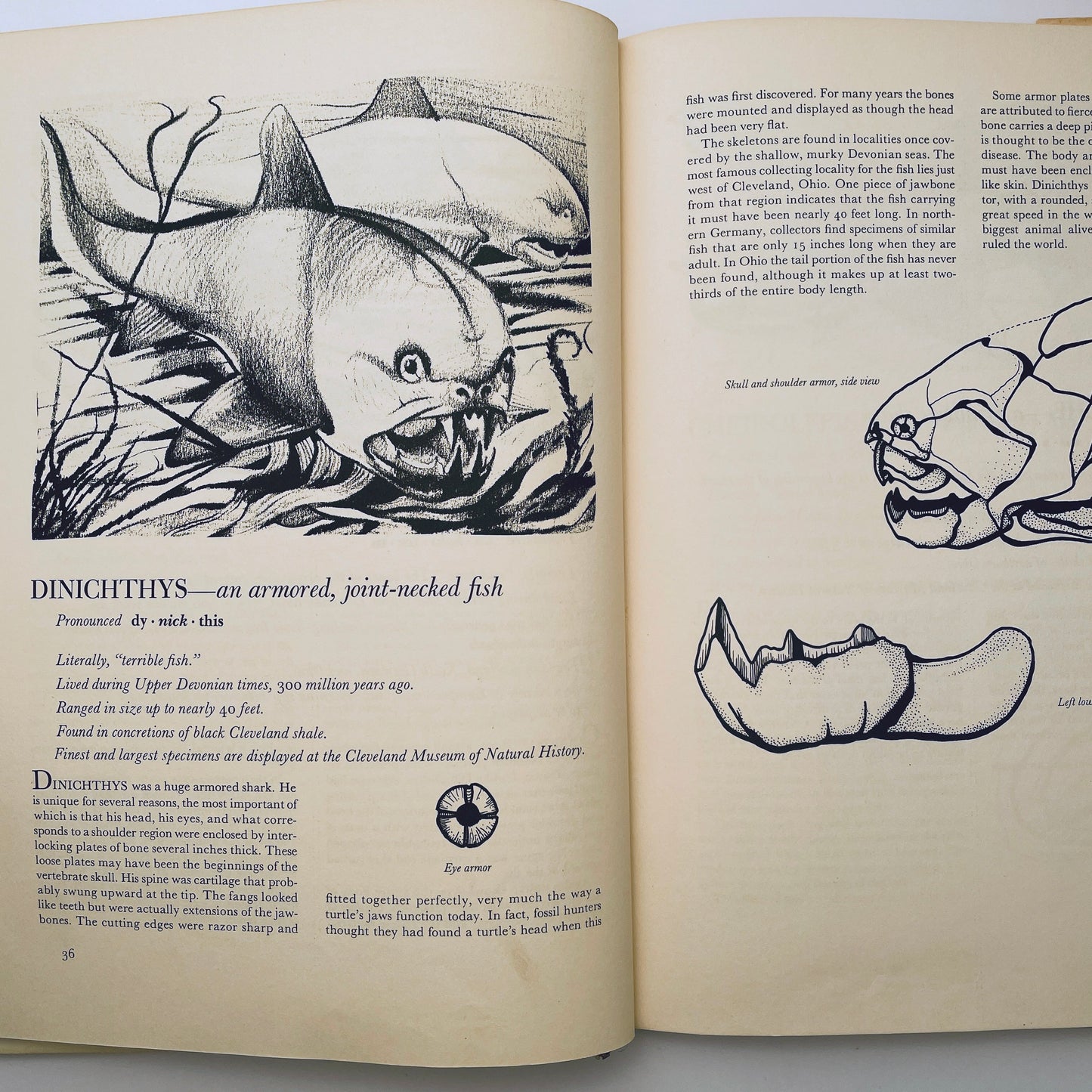 Prehistoric Animals
