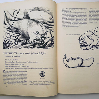 Prehistoric Animals