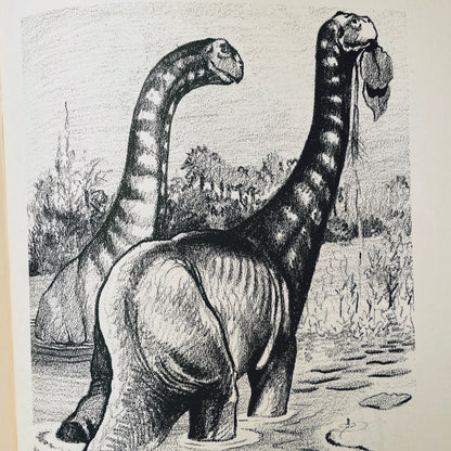 Prehistoric Animals