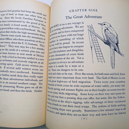 Traveling With the Birds