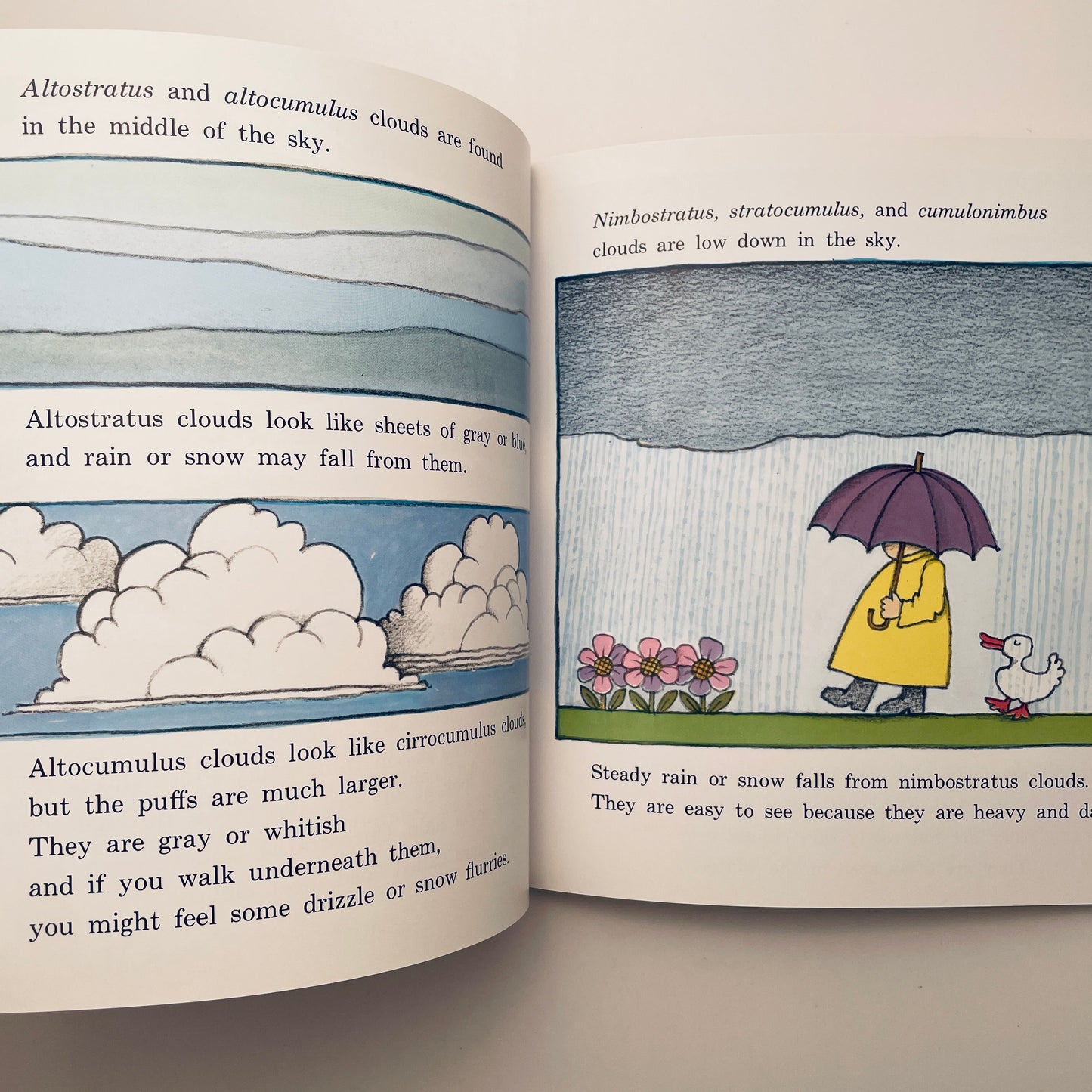 The Cloud Book