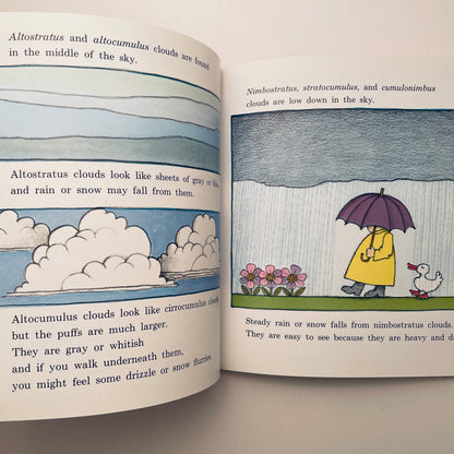 The Cloud Book