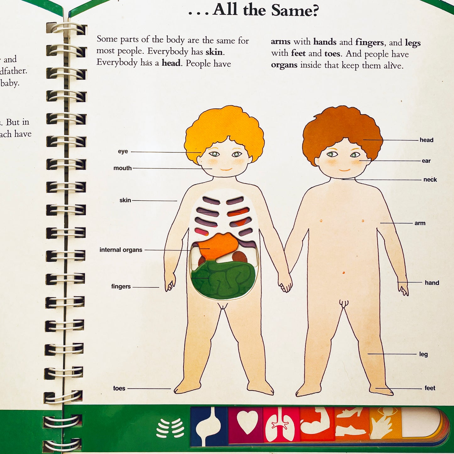 Look Inside Your Body (Poke & Look Learning Book™)