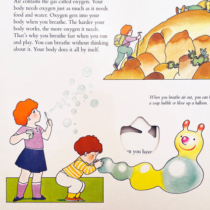 Look Inside Your Body (Poke & Look Learning Book™)