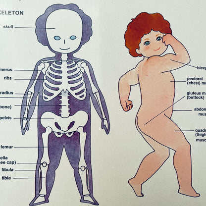 Look Inside Your Body (Poke & Look Learning Book™)