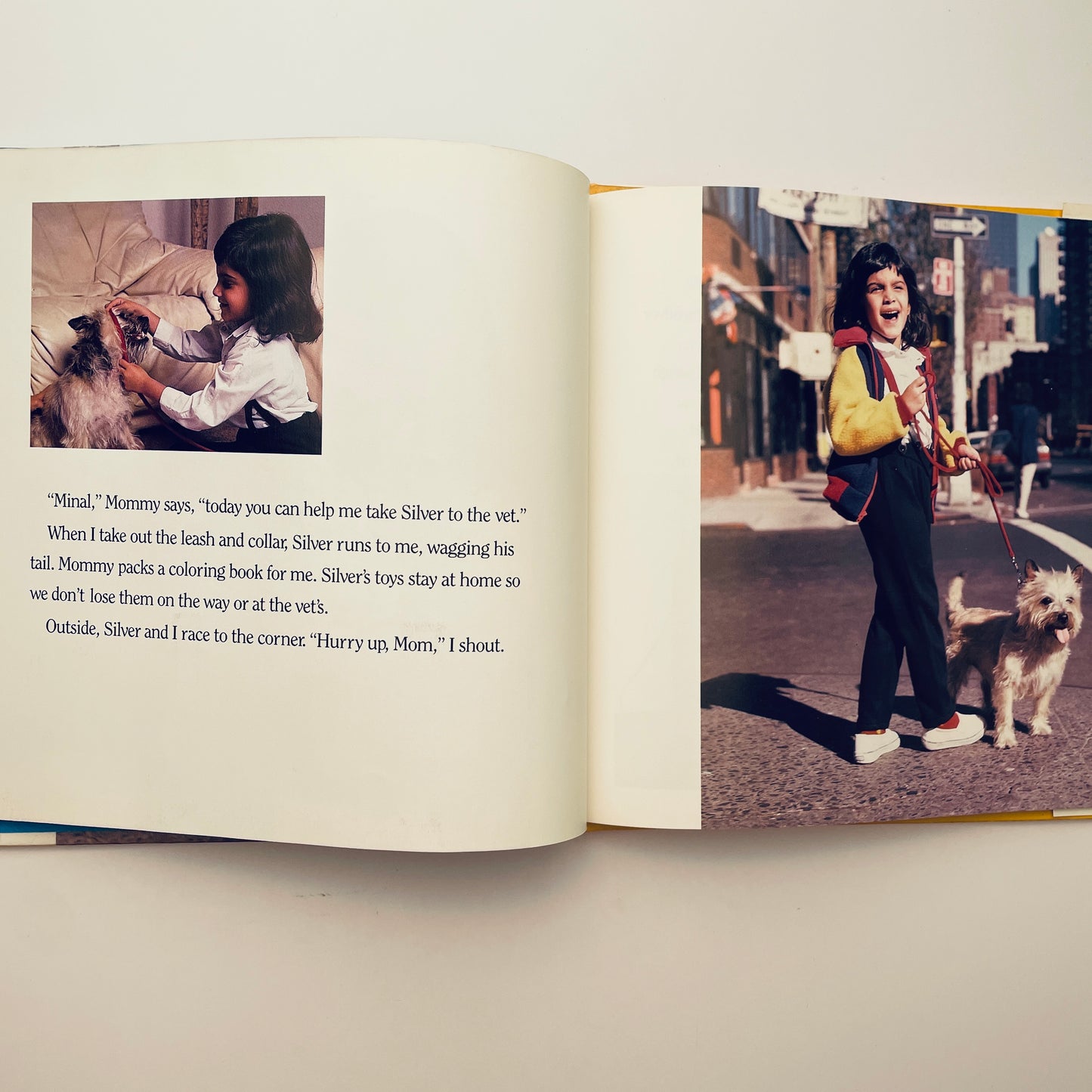 Taking My Dog to the Vet