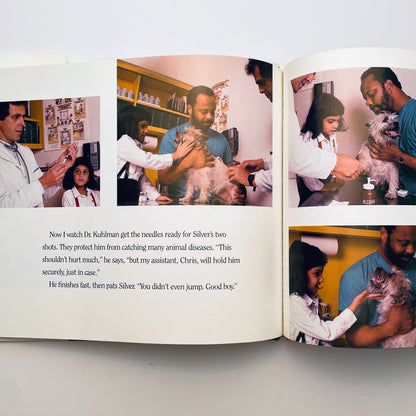 Taking My Dog to the Vet