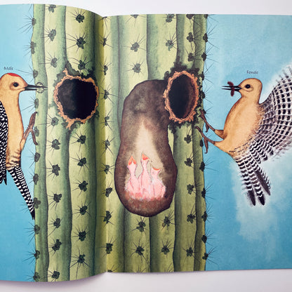 Desert Giant: The World of the Saguaro Cactus