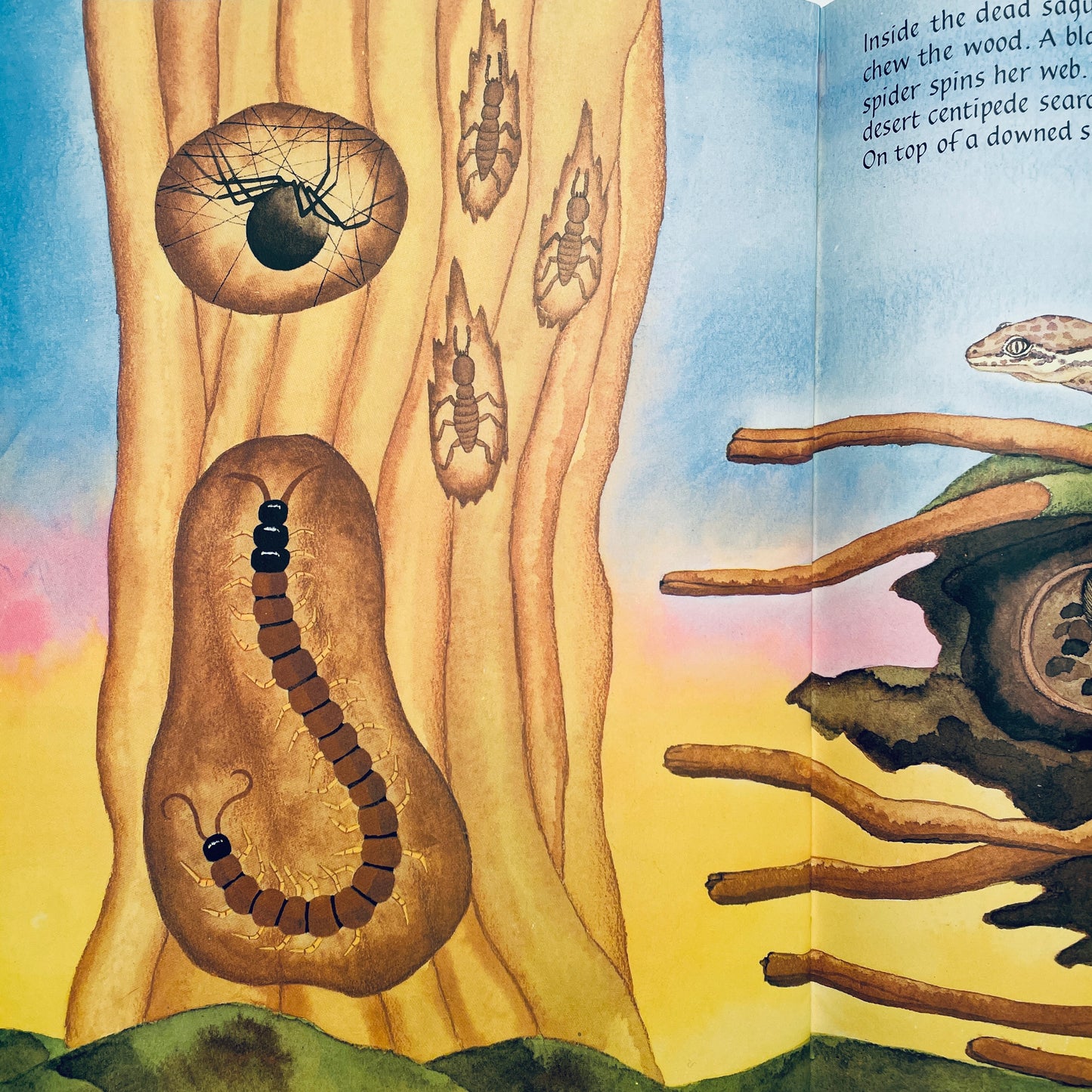 Desert Giant: The World of the Saguaro Cactus