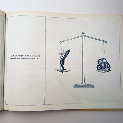 Crystal: The Story of a Real Baby Whale