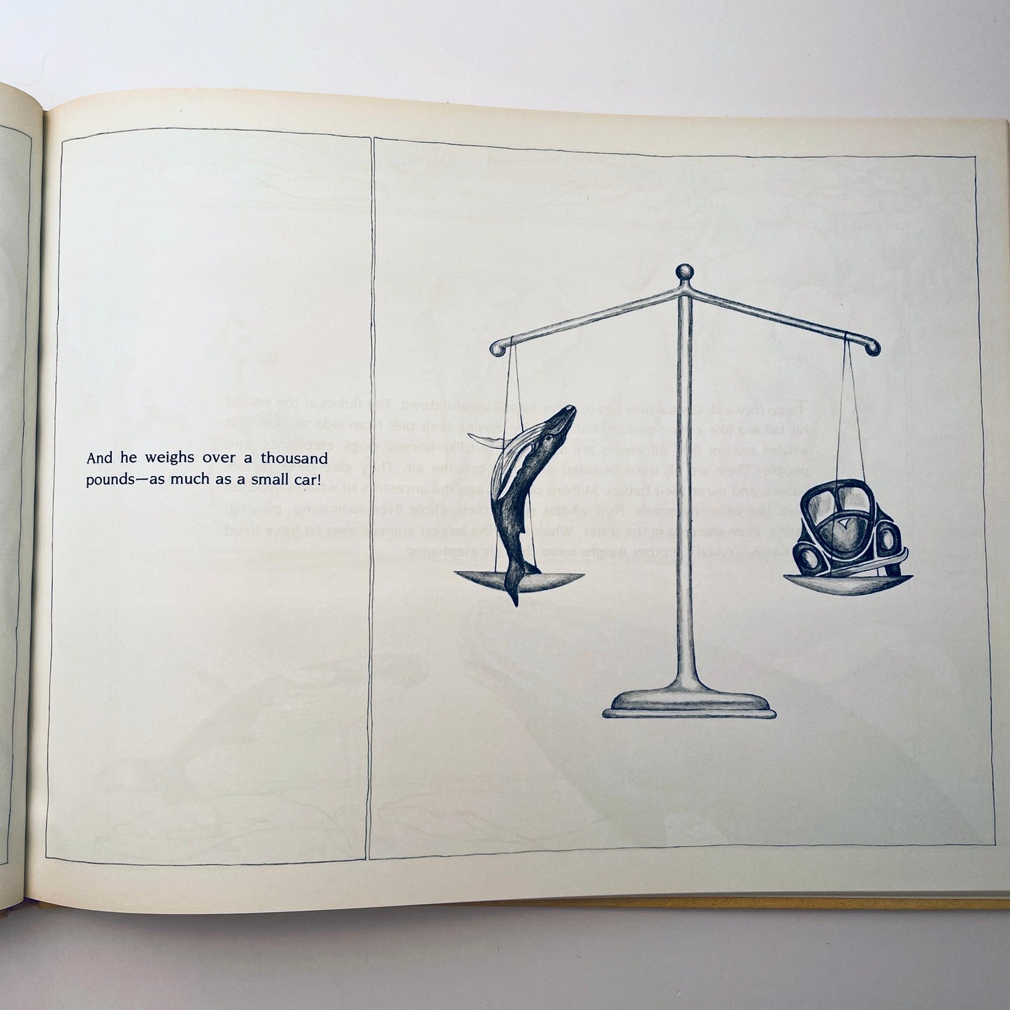 Crystal: The Story of a Real Baby Whale