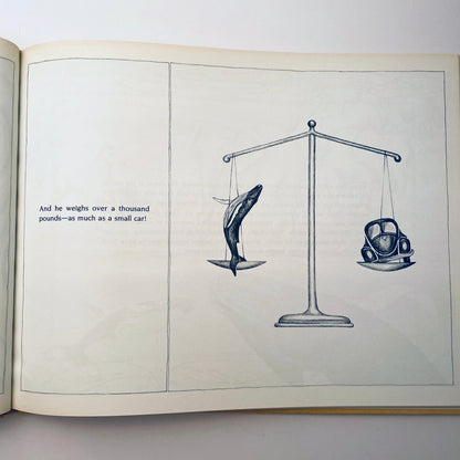 Crystal: The Story of a Real Baby Whale