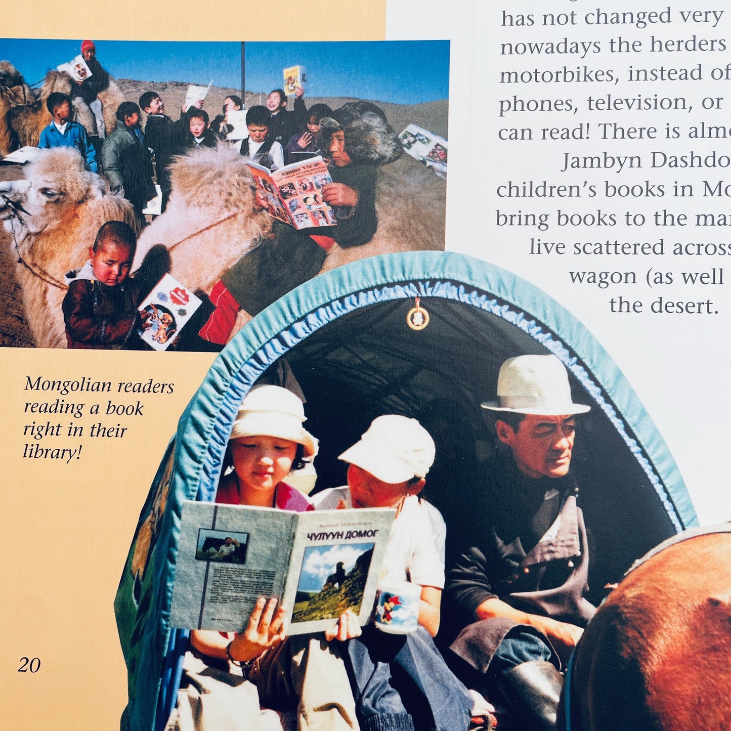 My Librarian is a Camel: How Books Are Brought to Children Around the World