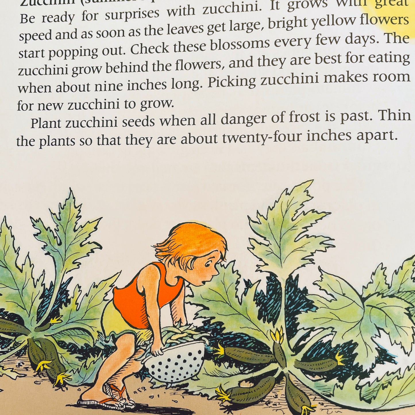 In My Garden: A Child's Gardening Book