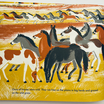 Wild And Tame Animals