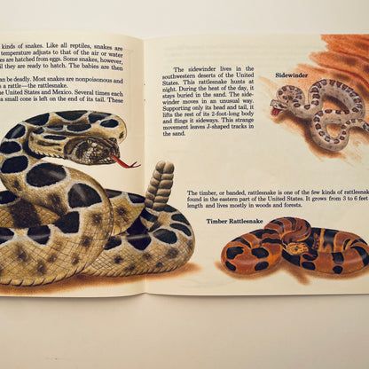 Instant Guide to Snakes & Other Reptiles (Dial-An-Animal)