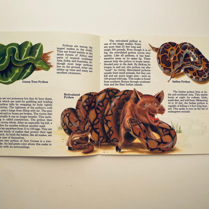 Instant Guide to Snakes & Other Reptiles (Dial-An-Animal)