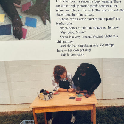 Sheba the Chimp and Skylar