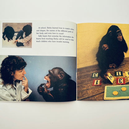 Sheba the Chimp and Skylar