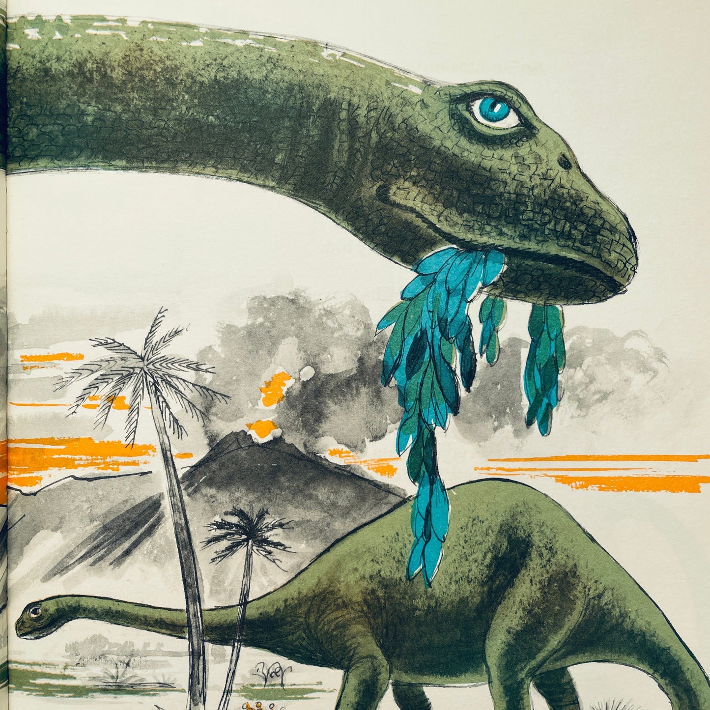 A Dozen Dinosaurs