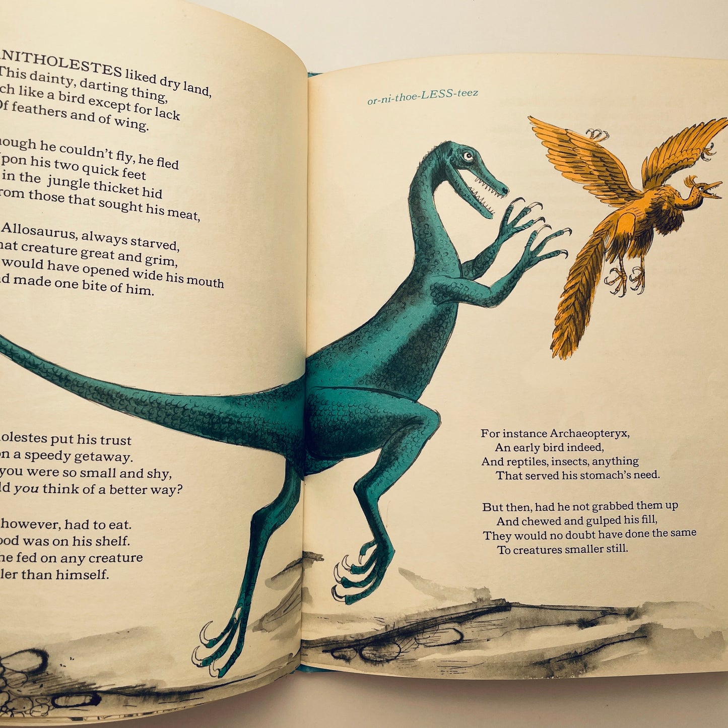 A Dozen Dinosaurs