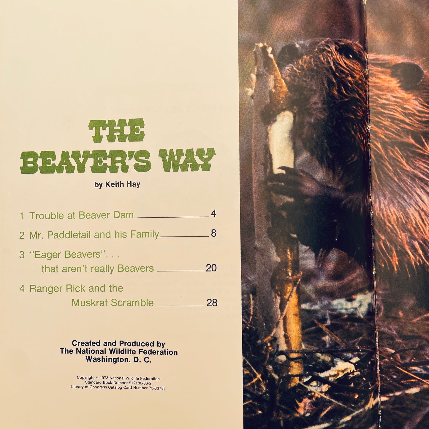 The Beaver's Way (Ranger Rick's Best Friends)