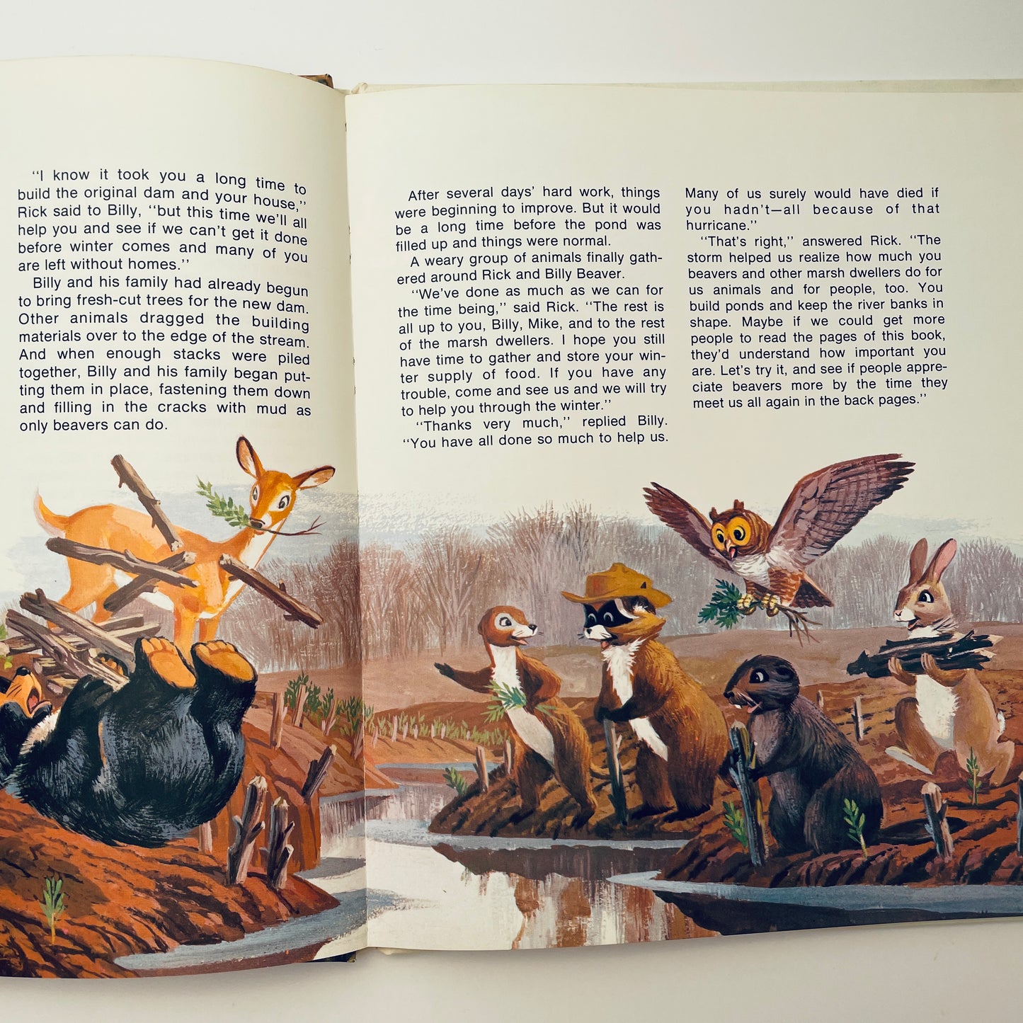 The Beaver's Way (Ranger Rick's Best Friends)