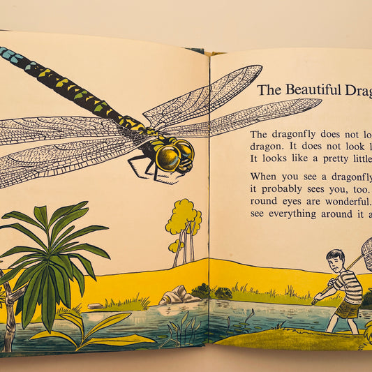 Insects do the Strangest Things (Step-Up Books)