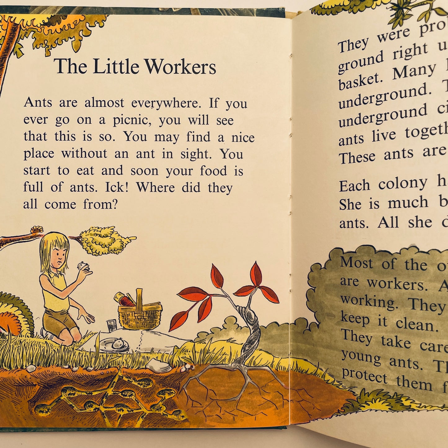 Insects do the Strangest Things (Step-Up Books)