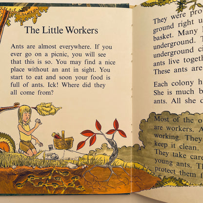 Insects do the Strangest Things (Step-Up Books)