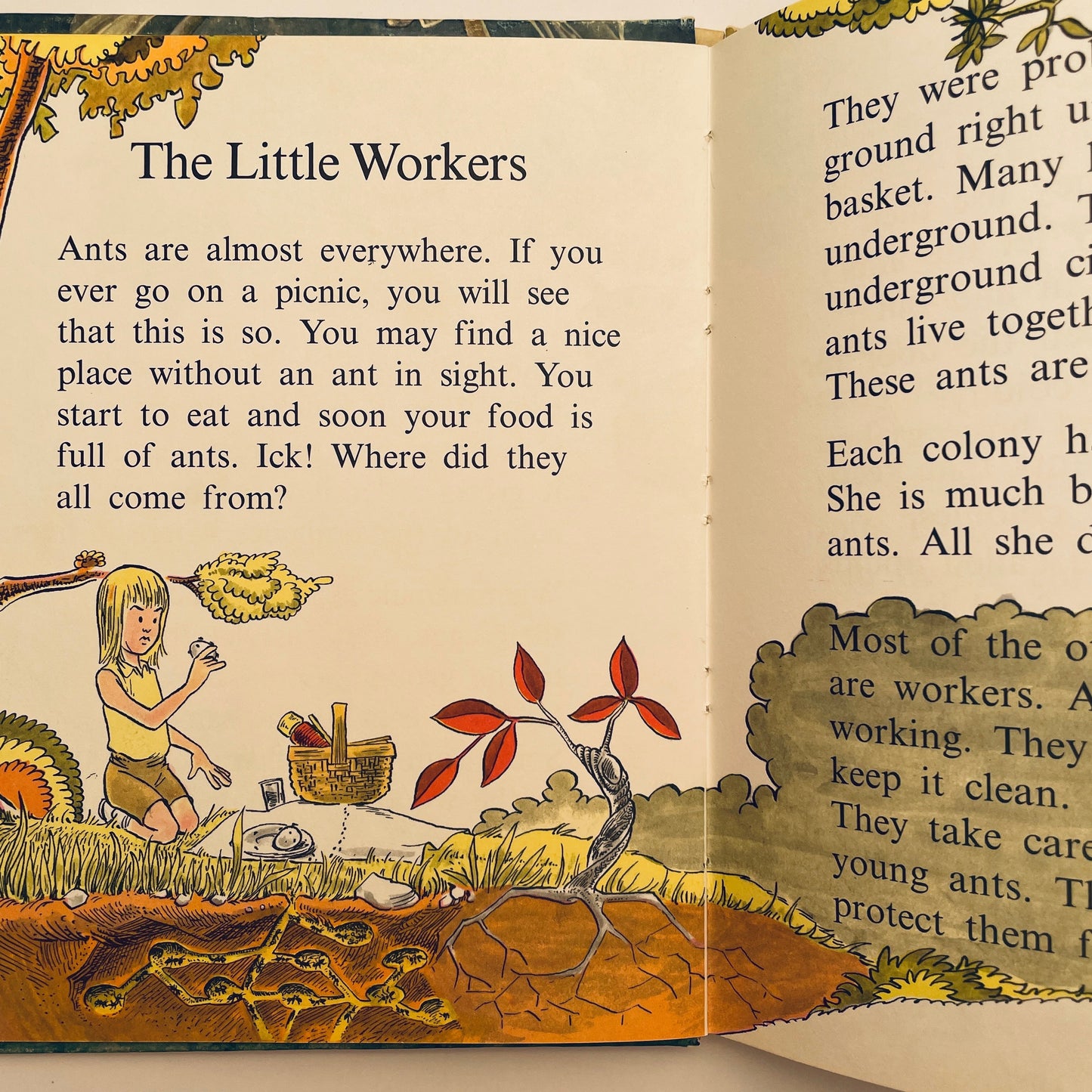 Insects do the Strangest Things (Step-Up Books)