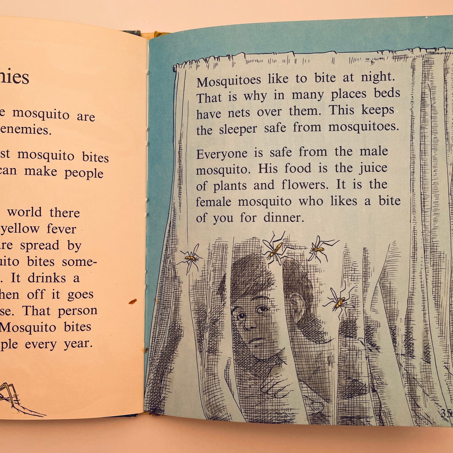 Insects do the Strangest Things (Step-Up Books)