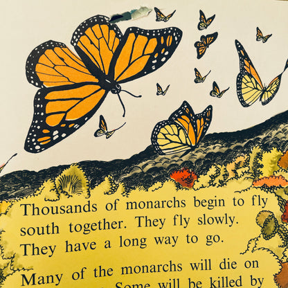 Insects do the Strangest Things (Step-Up Books)