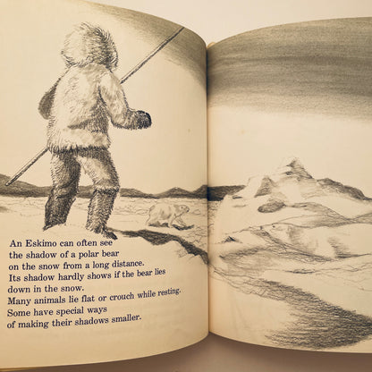 Can You Find the Animal?