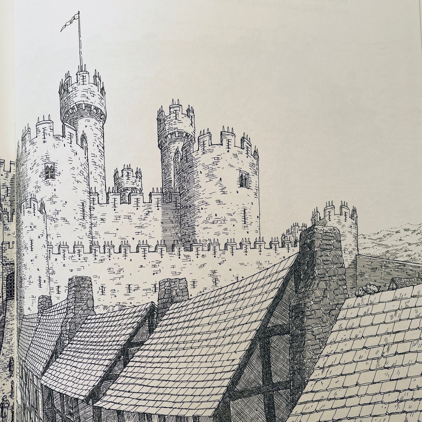 Castle