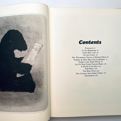 The Teddy Bear Book