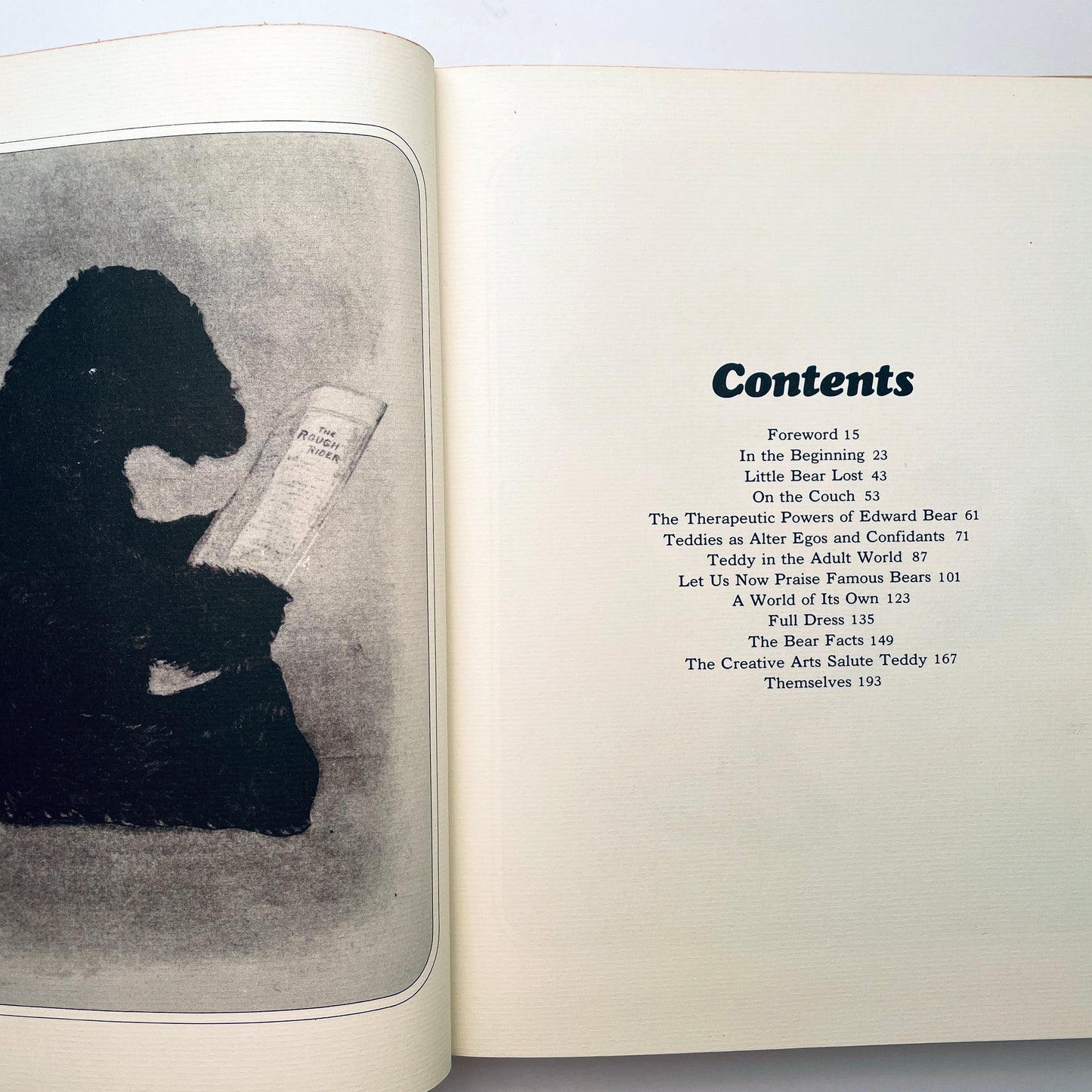 The Teddy Bear Book