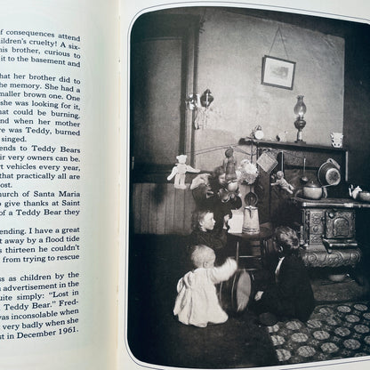 The Teddy Bear Book