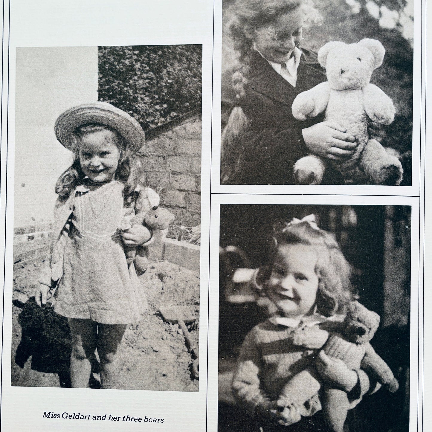 The Teddy Bear Book