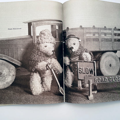 The Teddy Bear Book
