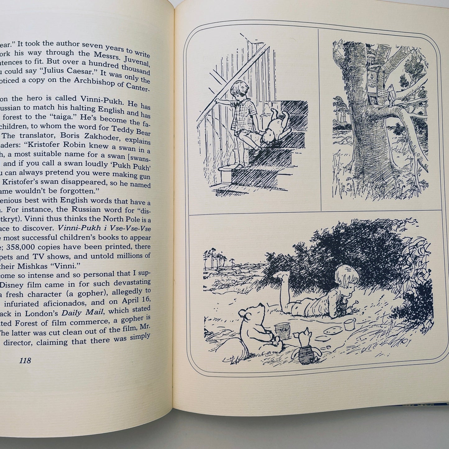 The Teddy Bear Book
