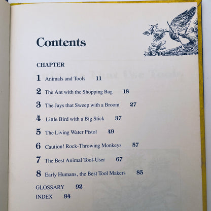 Animals That Use Tools