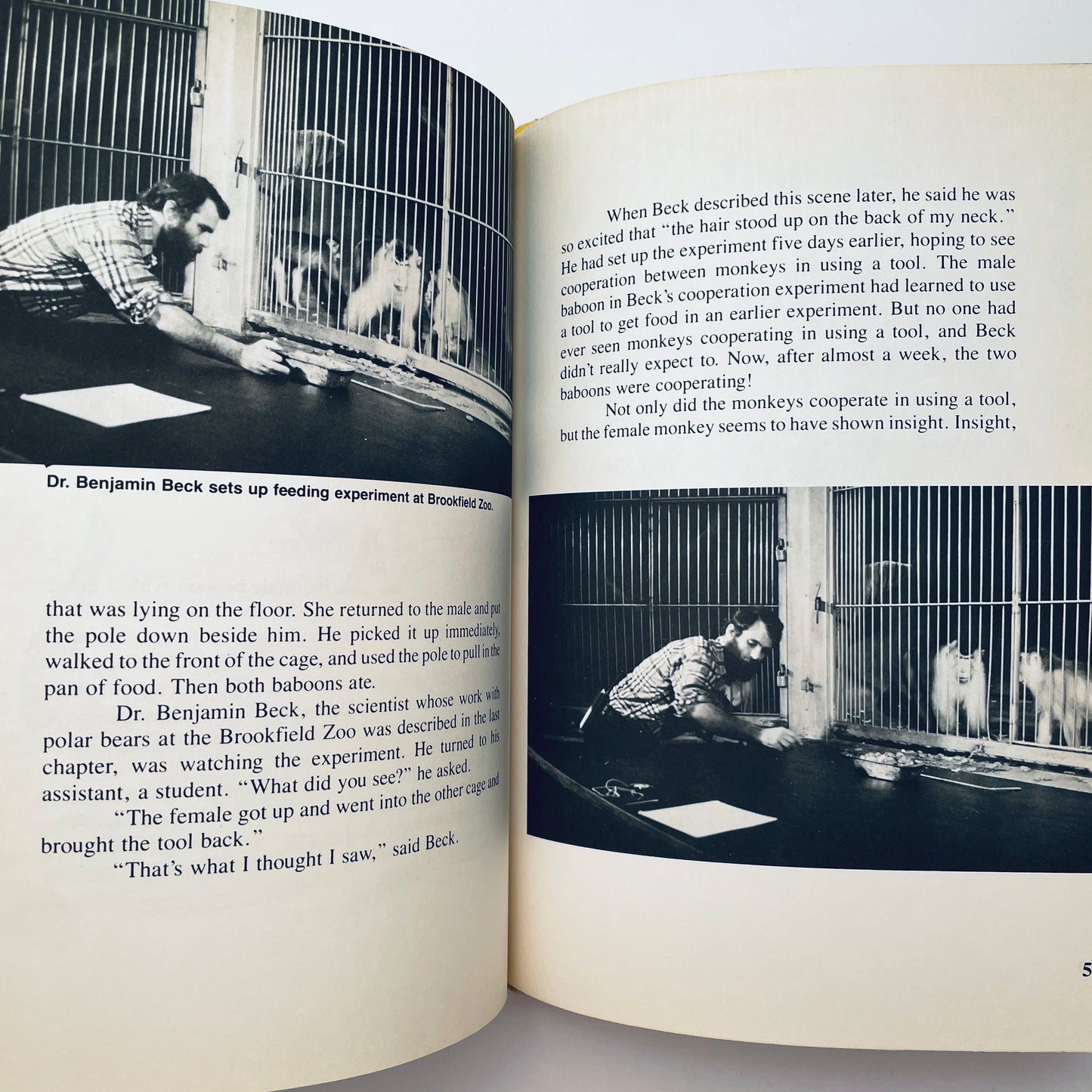 Animals That Use Tools