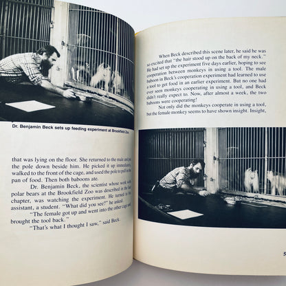 Animals That Use Tools