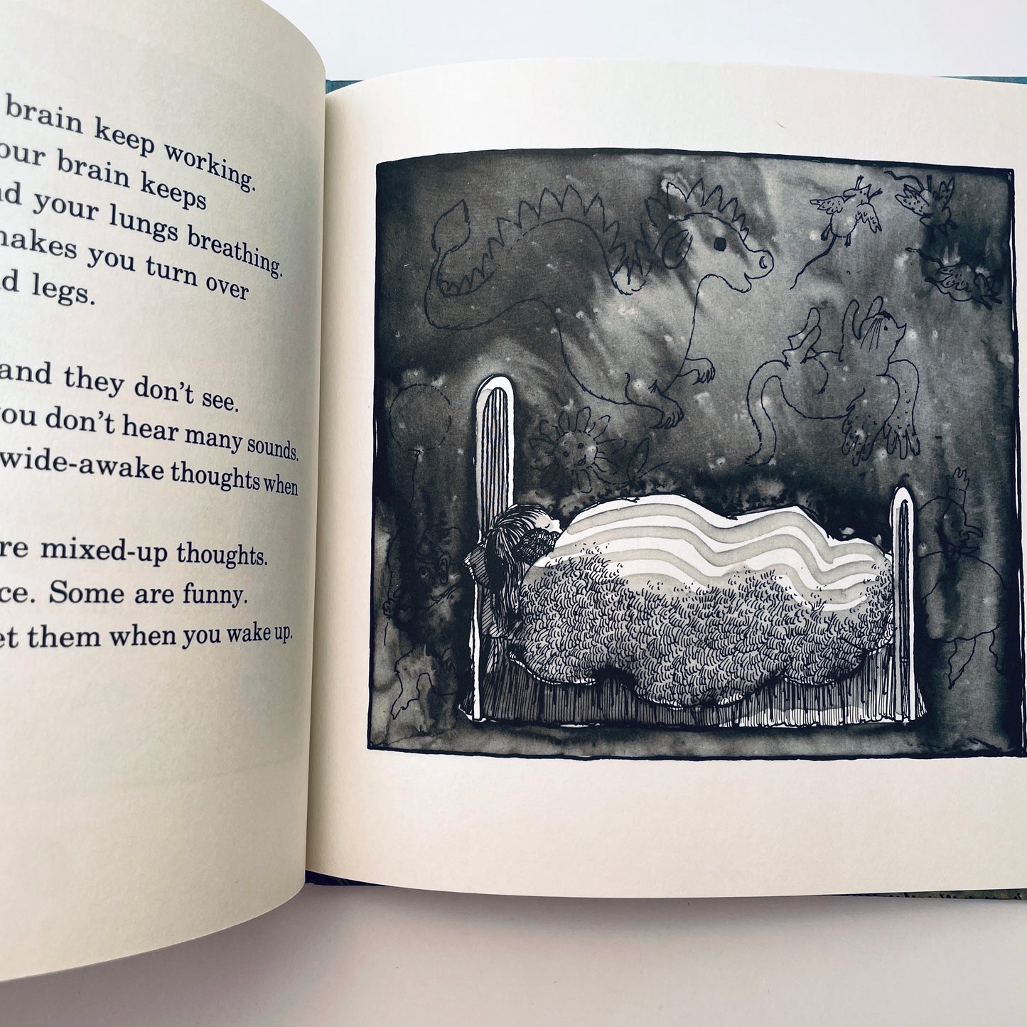 Sleep Is for Everyone (Let's-Read-and-Find-Out-Book™)