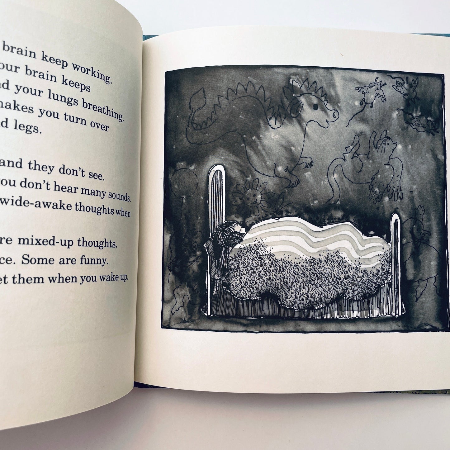 Sleep Is for Everyone (Let's-Read-and-Find-Out-Book™)