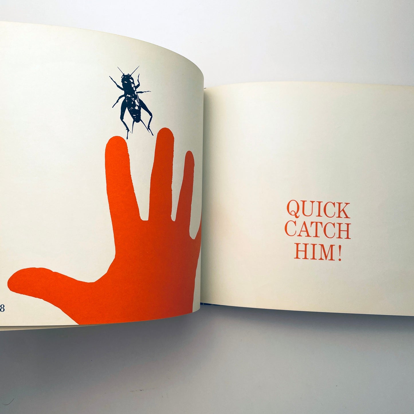 Catch a Cricket