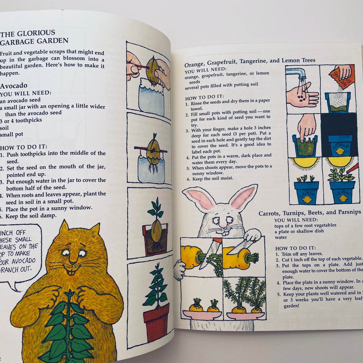 Your First Garden Book