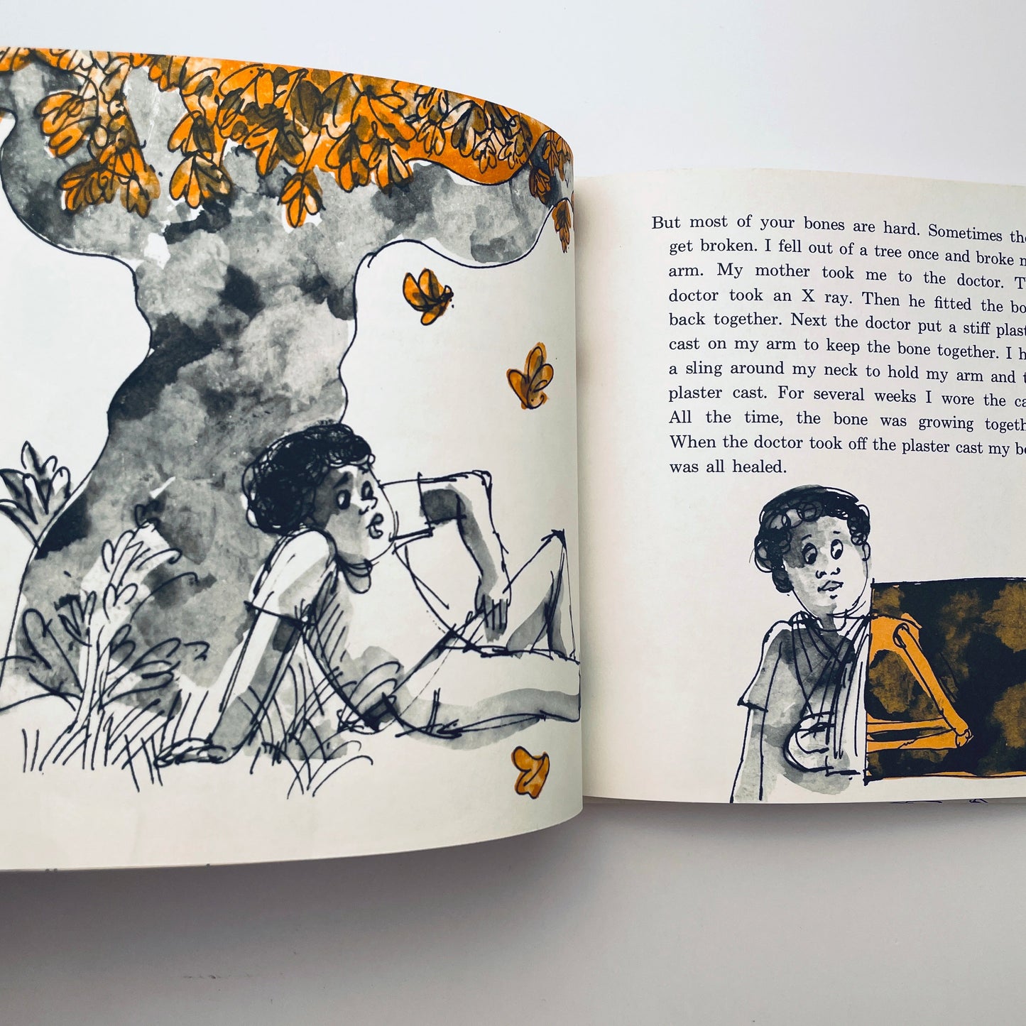 The Skeleton Inside You (Let's-Read-and-Find-Out-Book)