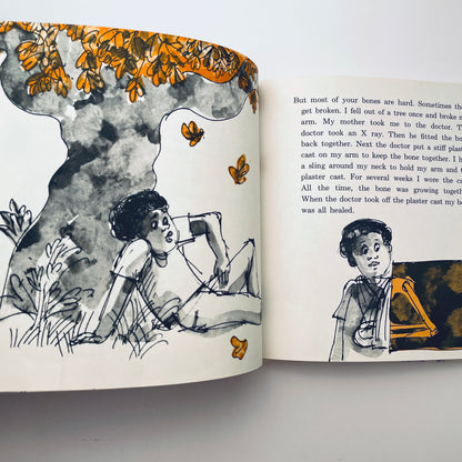 The Skeleton Inside You (Let's-Read-and-Find-Out-Book)